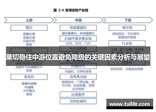 莱切稳住中游位置避免降级的关键因素分析与展望