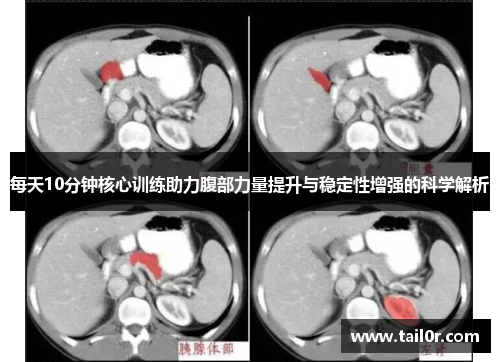 每天10分钟核心训练助力腹部力量提升与稳定性增强的科学解析
